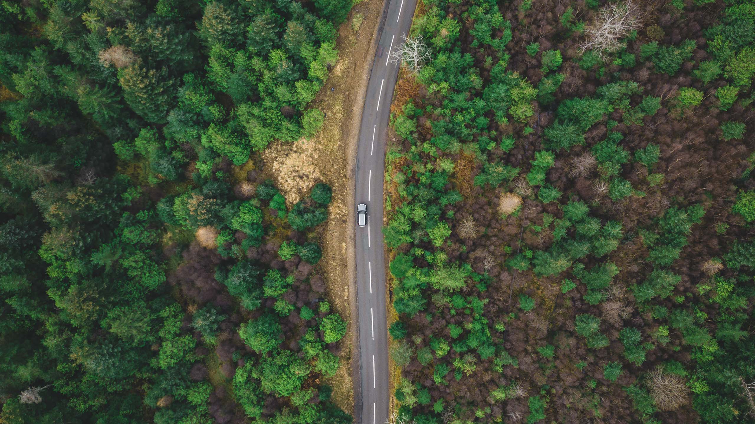 Car on a long road