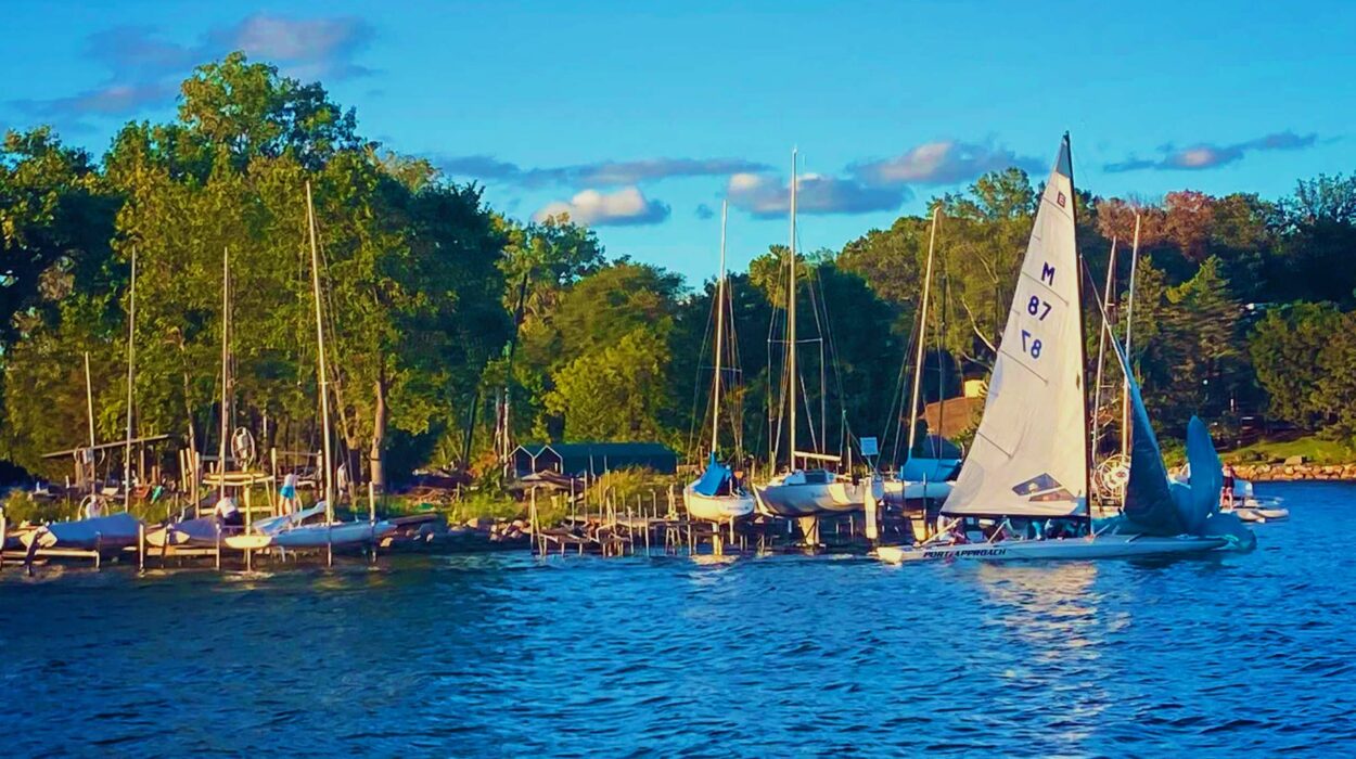 Sail boats docked at a marina