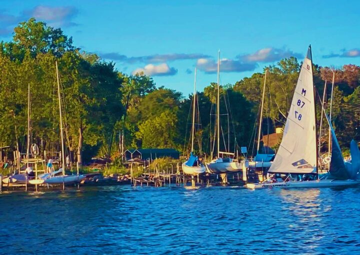 Sail boats docked at a marina